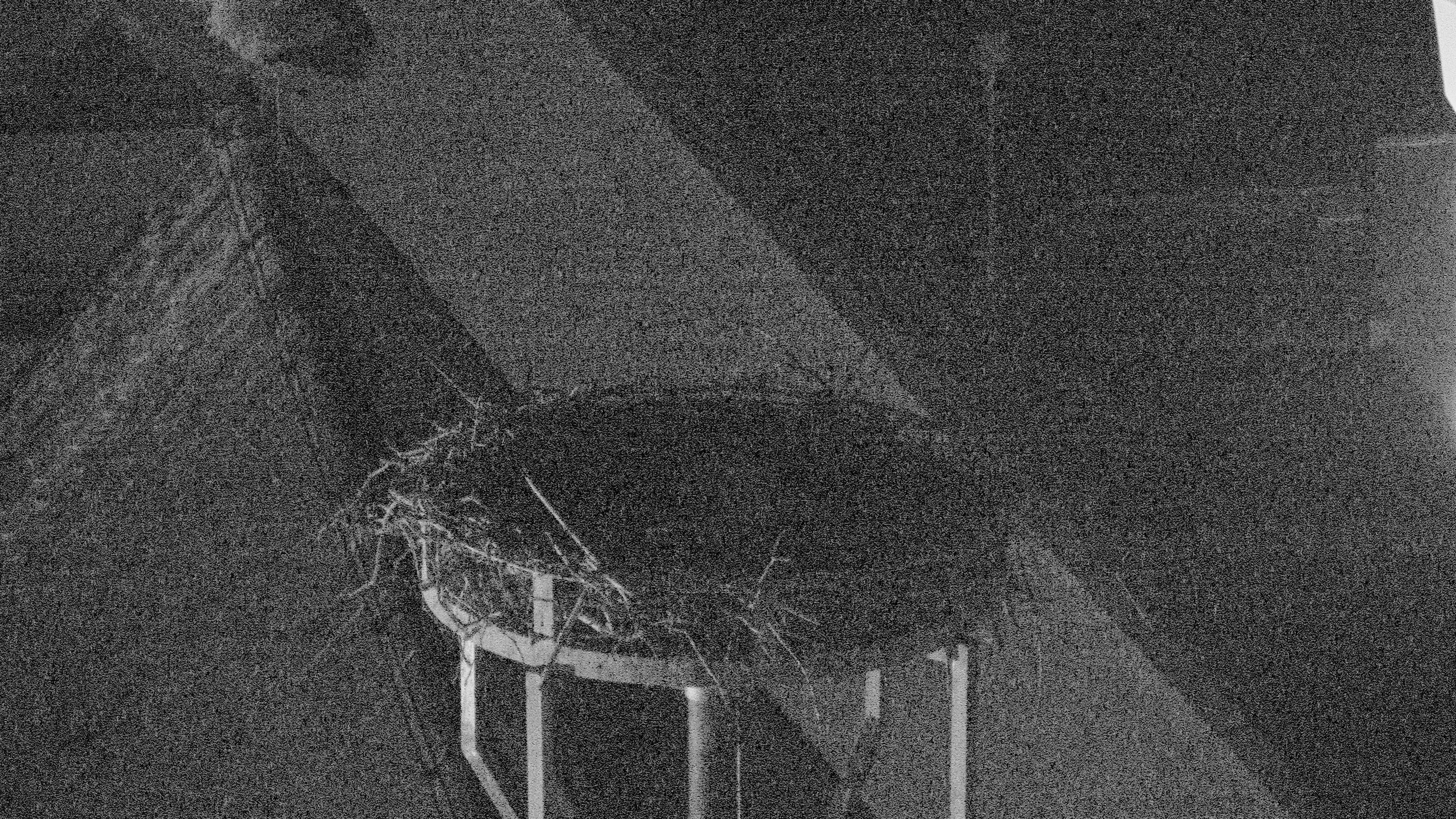 Webcam Storchennest Crailsheim Live 1 Webcam