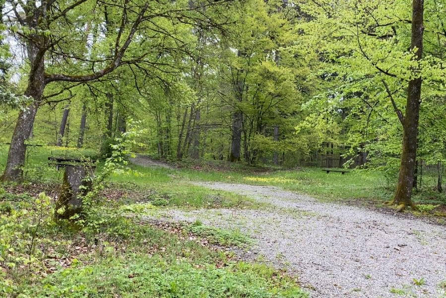 Ein geschotterter grüner Platz mitten im Wald