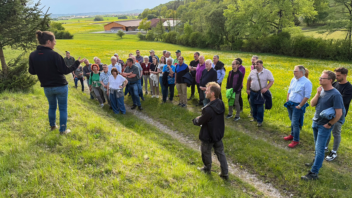 Eine Gruppe Menschen steht im Grünen und lauscht einem Vortrag