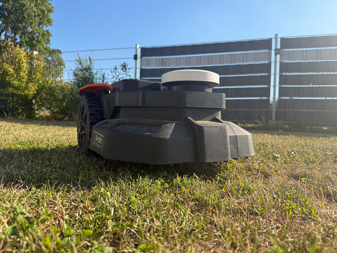 ein Mähroboter auf einem Rasen, im Hintergrund ein Zaun und Büsche